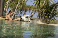 Hbergement Australie - Bamurru Plains - Arnhem Land