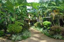 Hbergement Australie - Bay Village Tropical Retreat