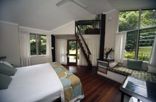 Hbergement Australie - Ferntree Rainforest Lodge - Cape Tribulation