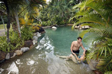 Hbergement Australie - Ferntree Rainforest Lodge - Cape Tribulation