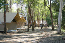 Hbergement Australie - Kimberley Wilderness Camps