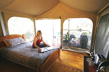 Jabiru Safari Camp, Queensland, Australie