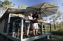 Jabiru Safari Lodge - Atherton Tablelands Hébergement Australie - Jabiru Safari Lodge - Atherton Tablelands