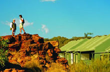 Hbergement Australie - Kings Canyon