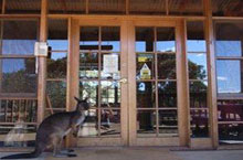 Hébergement Australie - Kangaroo Island Wilderness Retreat