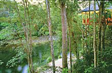 Hébergement Australie - Silky Oaks Lodge - Daintree