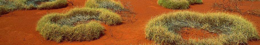 Hbergement en Australie de l'Ouest ou Australie Occidentale