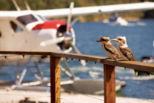 Sydney Seaplanes, Nouvelle Galles du Sud, Australie