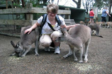 Parc Animalier de Featherdale, Nouvelle Galles du Sud, Australie Parc Animalier de Featherdale, Nouvelle Galles du Sud, Australie