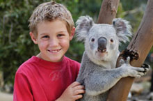 Parc Animalier de Featherdale, Nouvelle Galles du Sud, Australie