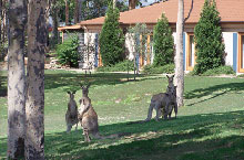 Tuscany Wine Estate, Nouvelle Galles du Sud, Australie