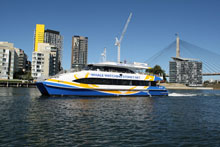 Whale Watching Sydney, Australie