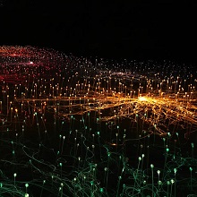 Exposition Field Of Light Exposition Field Of Light