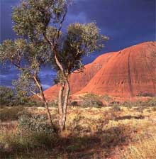 Kata Tjuta, Territoire du Nord, Australie Kata Tjuta, Territoire du Nord, Australie