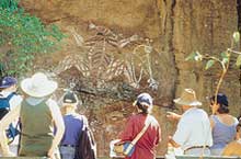 Art Rupestre, Nourlangie, Territoire du Nord, Australie Art Rupestre, Nourlangie, Territoire du Nord, Australie