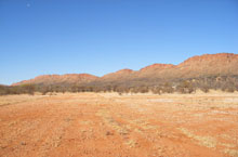 Undoolya Station, Territoire du Nord, Australie