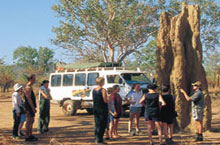 Termitière géante, Territoire du Nord, Australie Termitière géante, Territoire du Nord, Australie