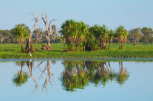 Yellow Water, Kakadu National Park, Australie Yellow Water, Kakadu National Park, Australie