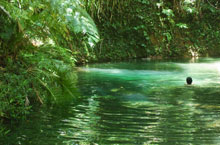 Cape Tribulation, Queensland, Australie