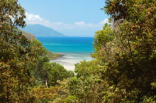 Cape Tribulation, Queensland, Australie Cape Tribulation, Queensland, Australie