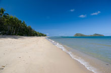Cape Tribulation, Queensland, Australie Cape Tribulation, Queensland, Australie