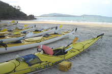 Iles tropicales, Queensland, Australie