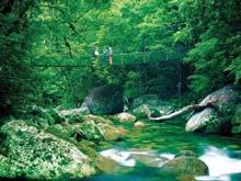 Mossman Gorge, Queensland, Australie Mossman Gorge, Queensland, Australie
