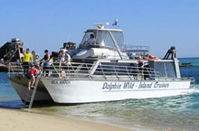 Le Bateau Dolphin Wild, Queensland, Australie