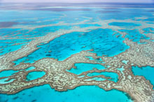 Grande Barrire de Corail, Queensland, Australie