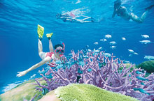 Grande Barrière de Corail, Queensland, Australie Grande Barrière de Corail, Queensland, Australie