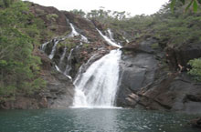 Iles tropicales, Queensland, Australie