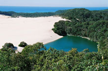 Lake Wabby, Fraser Island, Queensland, Australie