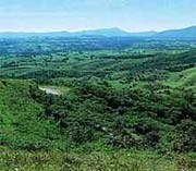 Atherton Tablelands, Australie