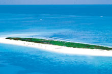 Michaelmas Cay, Grande Barrière de Corail, Queensland, Australie