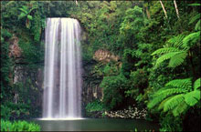 Millaa Millaa Falls, Atherton Tablelands, Queensland, Australie Millaa Millaa Falls, Atherton Tablelands, Queensland, Australie