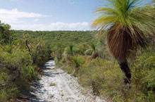 Moreton Island, Queensland, Australie