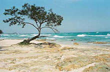 Moreton Island, Queensland, Australie