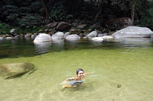 Mossman Gorge, Queensland, Australie Mossman Gorge, Queensland, Australie