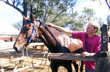 Myella Farm, Queensland, Australie