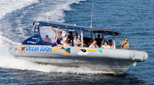 Ocean Safari, Grande Barrire de Corail, Australie