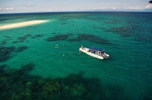 Ocean Safari, Grande Barrière de Corail, Australie Ocean Safari, Grande Barrière de Corail, Australie