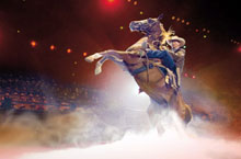 Outback Spectacular, Gold Coast, Queensland, Australie