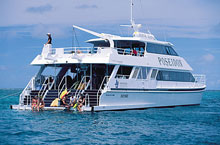 Poseidon, Grande Barrire de Corail, Queensland, Australie