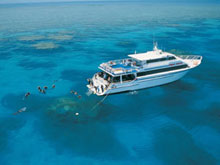 Prodive, Grande Barrire de Corail, Queensland, Australie