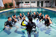 Prodive, Grande Barrire de Corail, Queensland, Australie