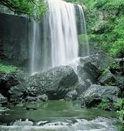 Cascades, Atherton Tablelands, Queensland, Australie