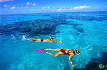 Snorkelling, les Iles Whitsundays, Queensland, Australie