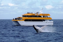 Spirit of Hervey Bay, Queensland, Australie