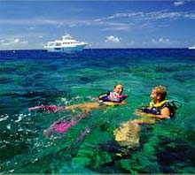 Tusa Dive, Grande Barrière de Corail, Queensland, Australie
