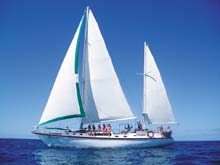 Waltzing Matilda, Iles Whitsundays, Queensland, Australie Waltzing Matilda, Iles Whitsundays, Queensland, Australie
